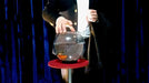 APPEARING FISH IN BOWL by Sorcier Magic - Merchant of Magic