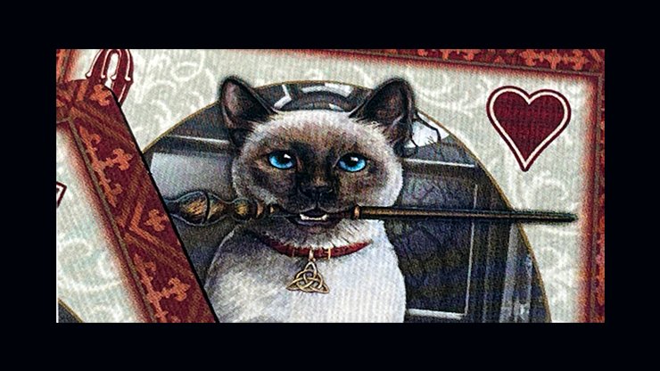 Bicycle Cats Playing Cards - Merchant of Magic