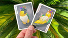 Bicycle Parrot Extinct Playing Cards - Merchant of Magic