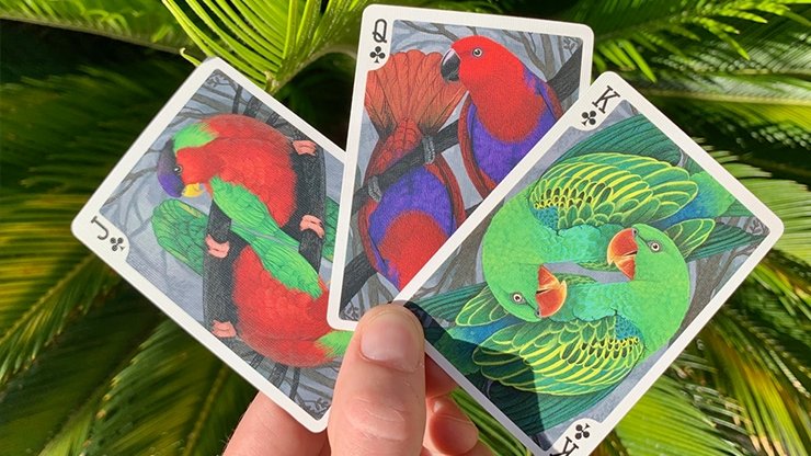 Bicycle Parrot Playing Cards - Merchant of Magic