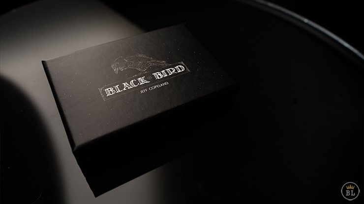 Blackbird by Jeff Copeland - Merchant of Magic