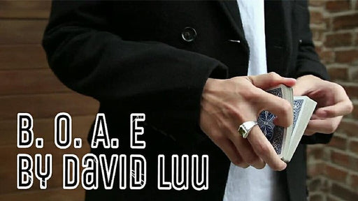 Blink Of An Eye by David Luu - VIDEO DOWNLOAD - Merchant of Magic