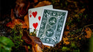 Bonfires Green (includes Card Magic Course) by Adam Wilber - Merchant of Magic