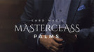 Card Magic Masterclass (Palms) by Roberto Giobbi - DVD - Merchant of Magic