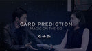 Card Prediction by Yu Ho Jin - VIDEO DOWNLOAD - Merchant of Magic