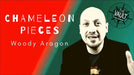 Chameleon Pieces by Woody Aragon - VIDEO DOWNLOAD - Merchant of Magic
