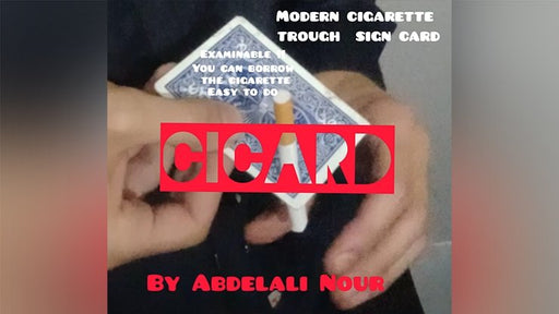 Cicard by Abdelali Nour video - INSTANT DOWNLOAD - Merchant of Magic