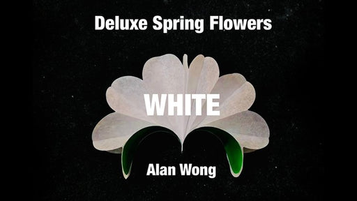 Deluxe Spring Flowers WHITE by Alan Wong - Merchant of Magic
