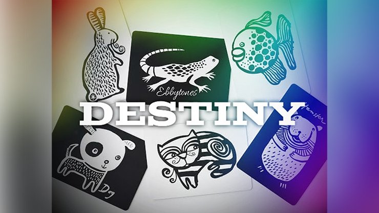 Destiny by Ebbytones - INSTANT DOWNLOAD - Merchant of Magic