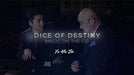 Dice of Destiny by Yu Ho Jin - VIDEO DOWNLOAD - Merchant of Magic