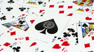 DMC ELITES V4: Marked Deck (Forest Green Phantom Finish) Playing Cards - Merchant of Magic