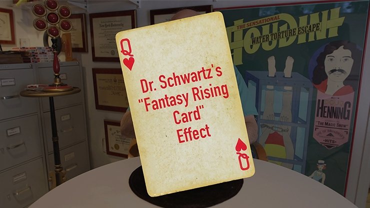 Dr. Schwartz's Fantasy Rising Card - Merchant of Magic