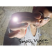 Small Vision by Dan Alex - - INSTANT DOWNLOAD
