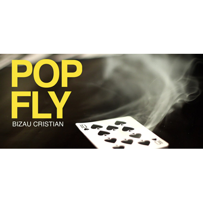 Pop Fly by Bizau Cristian - INSTANT DOWNLOAD