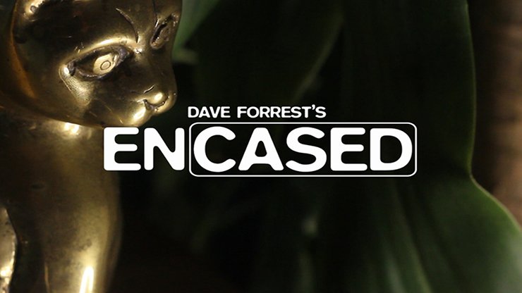 Encased by David Forrest - Merchant of Magic