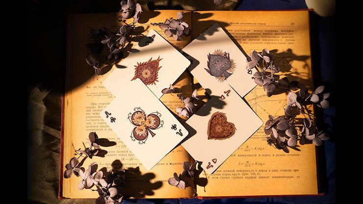 Epiphyllum Playing Cards - Merchant of Magic