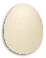 Foam Egg ( 1 egg is 1 unit) Goshman - Merchant of Magic