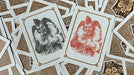 Four Continents (Copper) Playing Cards - Merchant of Magic