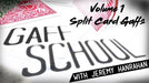 Gaff School Volume 1 (Split Card Gaffs) by Jeremy Hanrahan video - INSTANT DOWNLOAD - Merchant of Magic