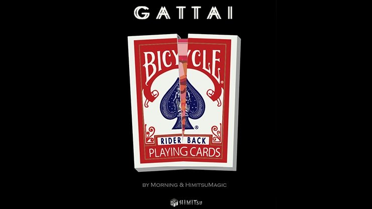 Gattai by Morning - Merchant of Magic