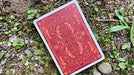 Gilded Bicycle Ant (Red) Playing Cards - Merchant of Magic