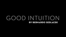 Good Intuition by Bernardo Sedlacek video - INSTANT DOWNLOAD - Merchant of Magic