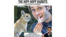 HIPP HOPP RABBIT by Rocco - 2 Pack - Merchant of Magic