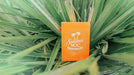 Limited Edition Summer NOC (Orange) Playing Cards - Merchant of Magic