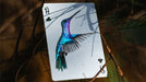 Marvelous Hummingbird Feathers (Red) Playing Cards by Kellar - Merchant of Magic