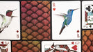 Marvelous Hummingbird Feathers (Red) Playing Cards by Kellar - Merchant of Magic