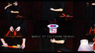 MAX by Max & MST Magic - DVD - Merchant of Magic