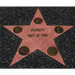 Celebrity Walk of Fame by Jonathan Royle - Video/Book - INSTANT DOWNLOAD