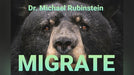 MIGRATE POKER CHIP by Dr. Michael Rubinstein - Trick - Merchant of Magic