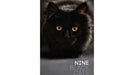Nine Black Cats by Neema Atri - eBook - Merchant of Magic