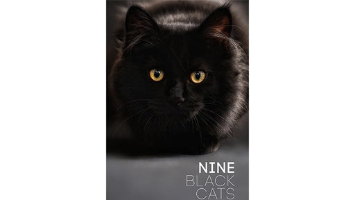 Nine Black Cats by Neema Atri - eBook - Merchant of Magic