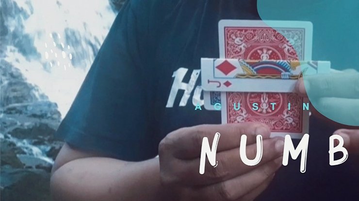 Numb by Agustin video - INSTANT DOWNLOAD - Merchant of Magic