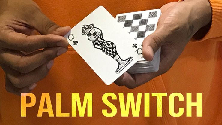 Palm Switch & Palm Control by Vivek Singhi - VIDEO DOWNLOAD - Merchant of Magic