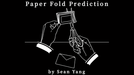 Paper Fold Prediction by Sean Yang - Merchant of Magic