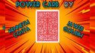 Power Card - INSTANT DOWNLOAD - Merchant of Magic