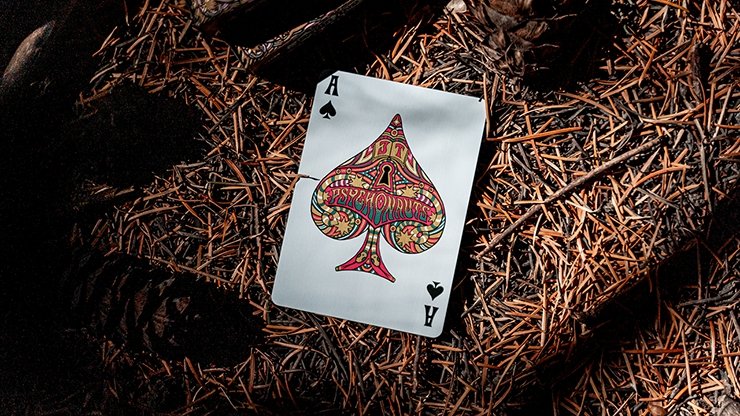 Psychonauts Playing Cards by Joker and the Thief - Merchant of Magic