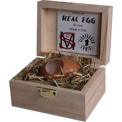 Real Egg (Brown) by Gianfranco Ermini & Stratomagic - Merchant of Magic