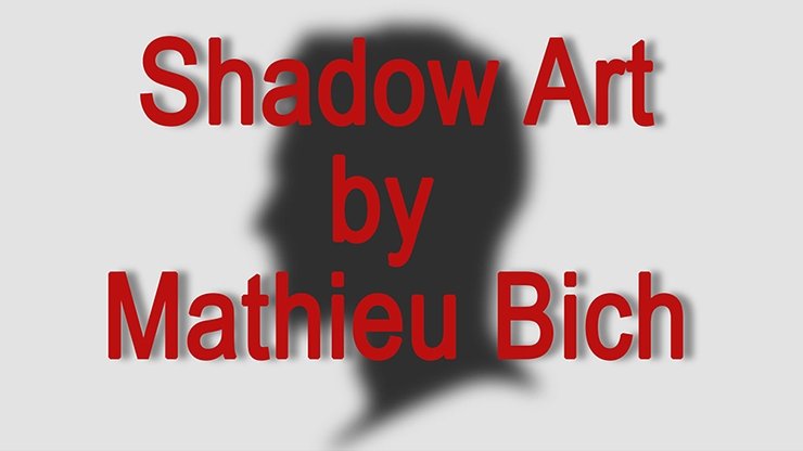 Shadow Art - Bat Man by Mathieu Bich - Merchant of Magic