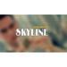 Skyline (Gimmick & DVD) by Danny Weiser - Merchant of Magic