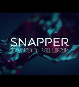 Snapper by Laurent Villiger - INSTANT DOWNLOAD - Merchant of Magic