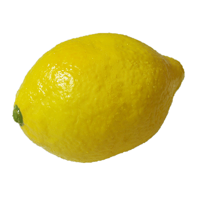 Super Real Latex Lemon - Trick - Merchant of Magic Magic Shop