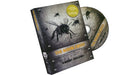 The Bumblebees (DVD and Cards) by Woody Aragon - Merchant of Magic