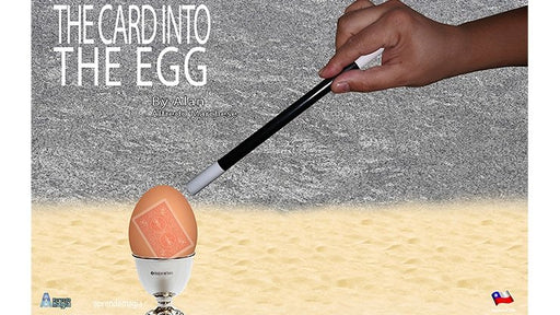 THE CARD INTO THE EGG by Alan Alfredo Marchese - Merchant of Magic