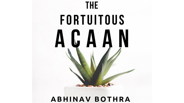 The Fortuitous ACAAN by Abhinav Bothra Mixed Media DOWNLOAD - Merchant of Magic
