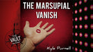 The Marsupial Ring Vanish by Kyle Purnell - VIDEO DOWNLOAD - Merchant of Magic
