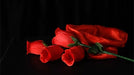 The Rose 2.0 (Red) by Bond Lee & Wenzi Magic - Merchant of Magic